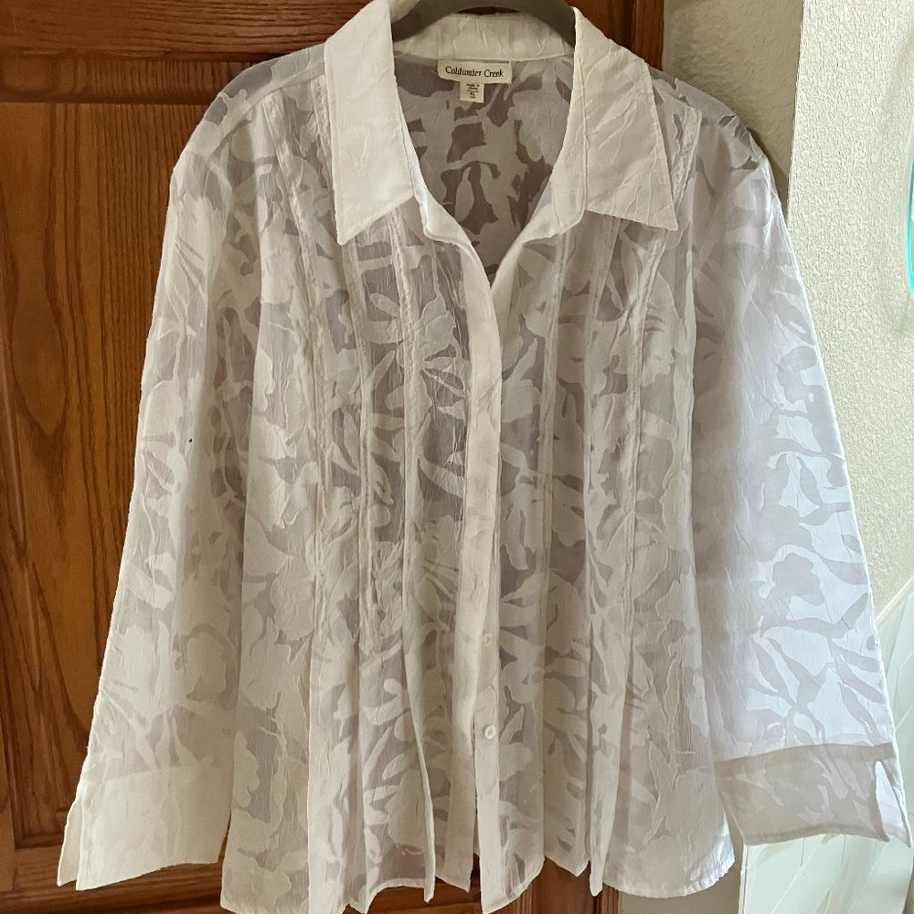 Sheer Jacket
